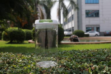 حاوية بلاستيكية قابلة لإعادة التدوير معتمدة من إدارة الغذاء والدواء الأمريكية بغطاء قابل للقفل خالية من مادة BPA